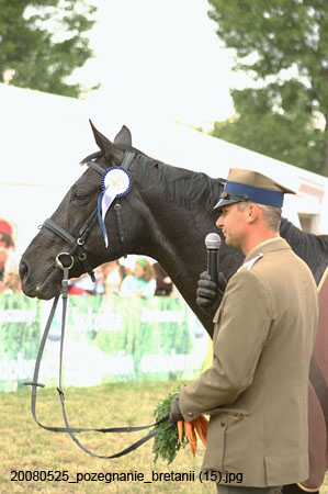 20080525_pozegnanie_bretanii (15)